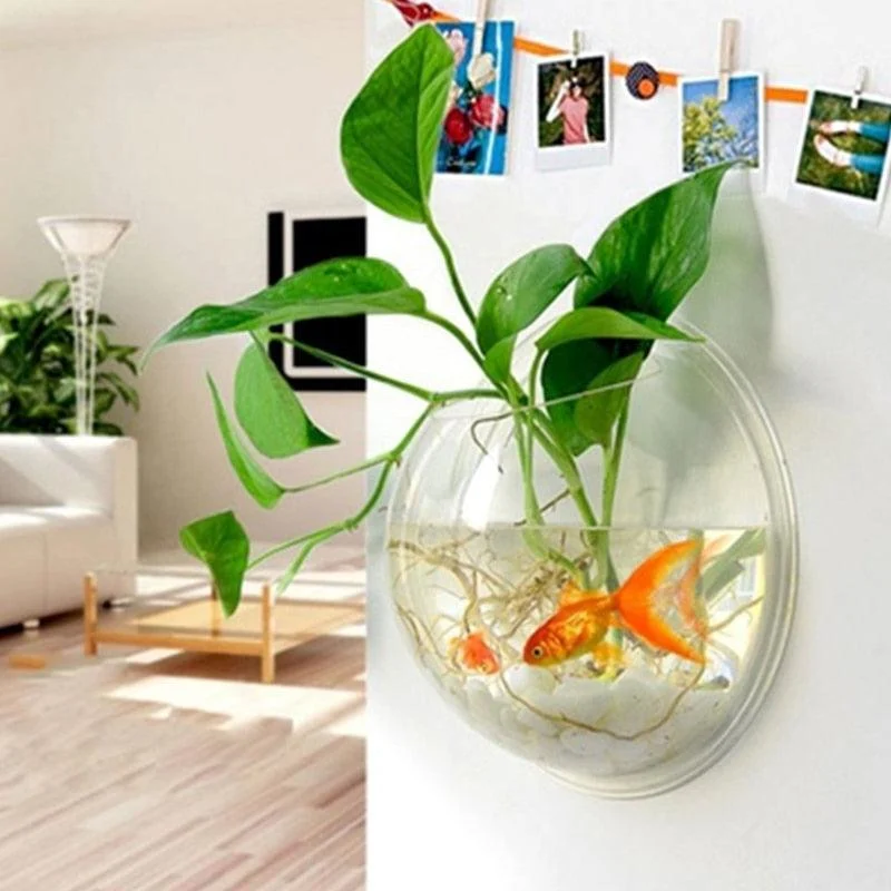 Hanging Glass Planter Terrarium - Homeko