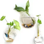 HangingGlassPlanterTerrarium-Homeko6 HangingGlassPlanterTerrarium Homeko6