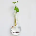 HangingGlassPlanterTerrarium-Homeko7 HangingGlassPlanterTerrarium Homeko7
