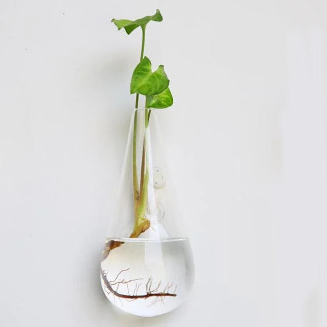 Hanging Glass Planter Terrarium - Homeko