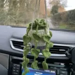 Hanging Crochet Plants