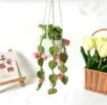 Hanging Crochet Plants
