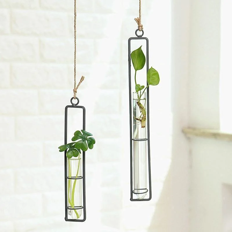 Hanging Iron Propagation Terrarium Vases -