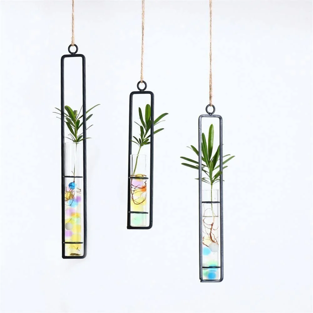 Hanging Iron Propagation Terrarium Vases -