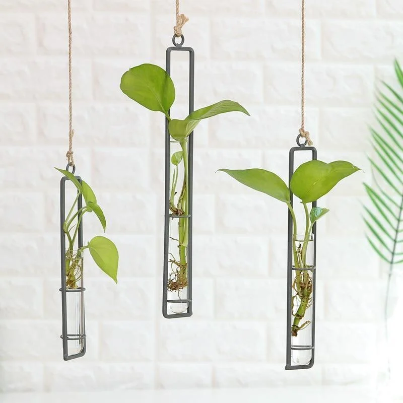 Hanging Iron Propagation Terrarium Vases -