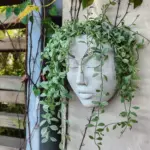 Hanging_Plant_Pot_-_Visage_-_Resin_Human_Face_-_Wall_Decoration_-_-_tag1_-4269634 Hanging Plant Pot Visage Resin Human Face Wall Decoration tag1