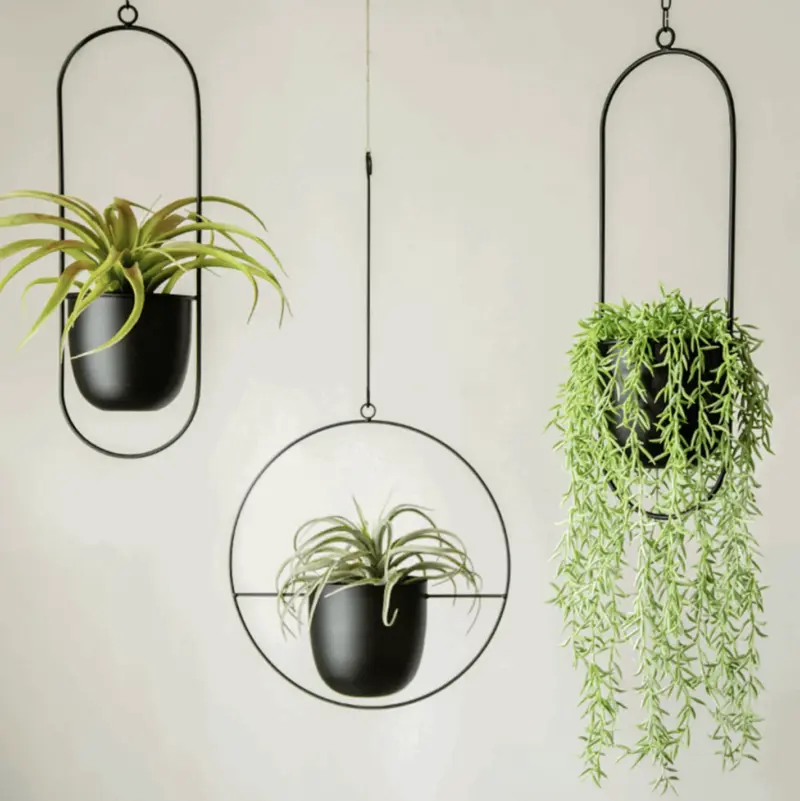 Hanging Vase tag1