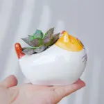 Happy_Cat_Pots_-_-4201507 Happy Cat Pots