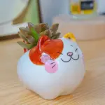 Happy_Cat_Pots_-_-4201537 Happy Cat Pots