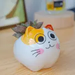 Happy_Cat_Pots_-_-4201552 Happy Cat Pots