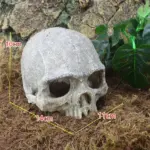 HeadBoneSkullOrnament Homeko1
