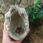 HeadBoneSkullOrnament Homeko3