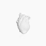 Heart Dry Plant Art Vase