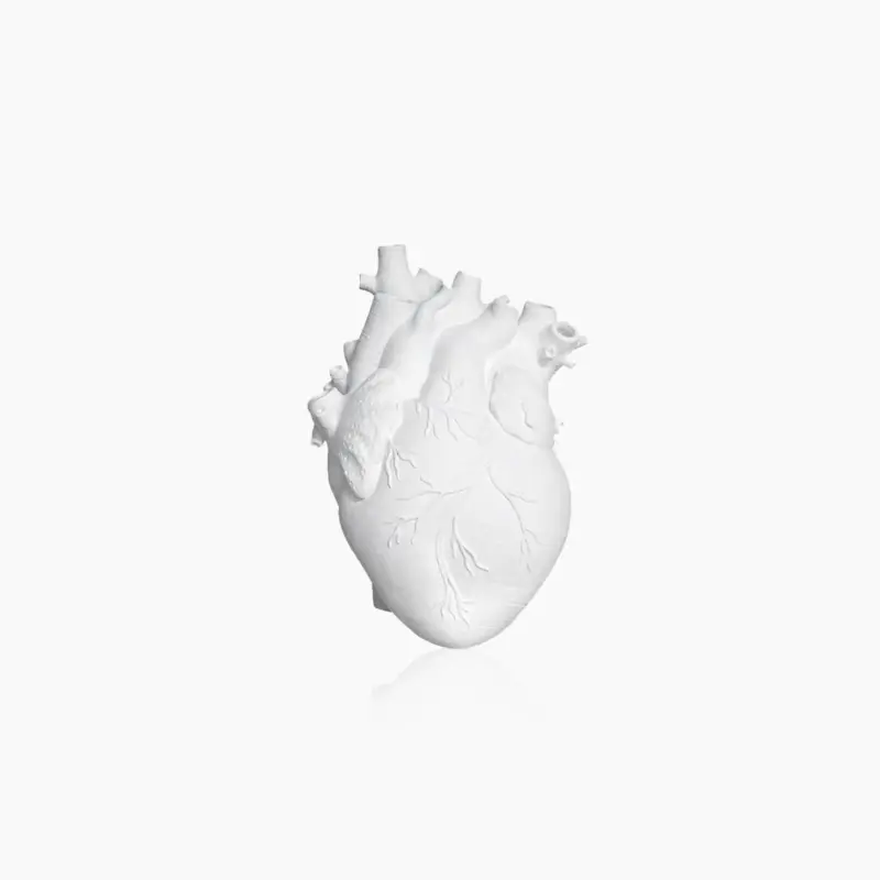 Heart Dry Plant Art Vase