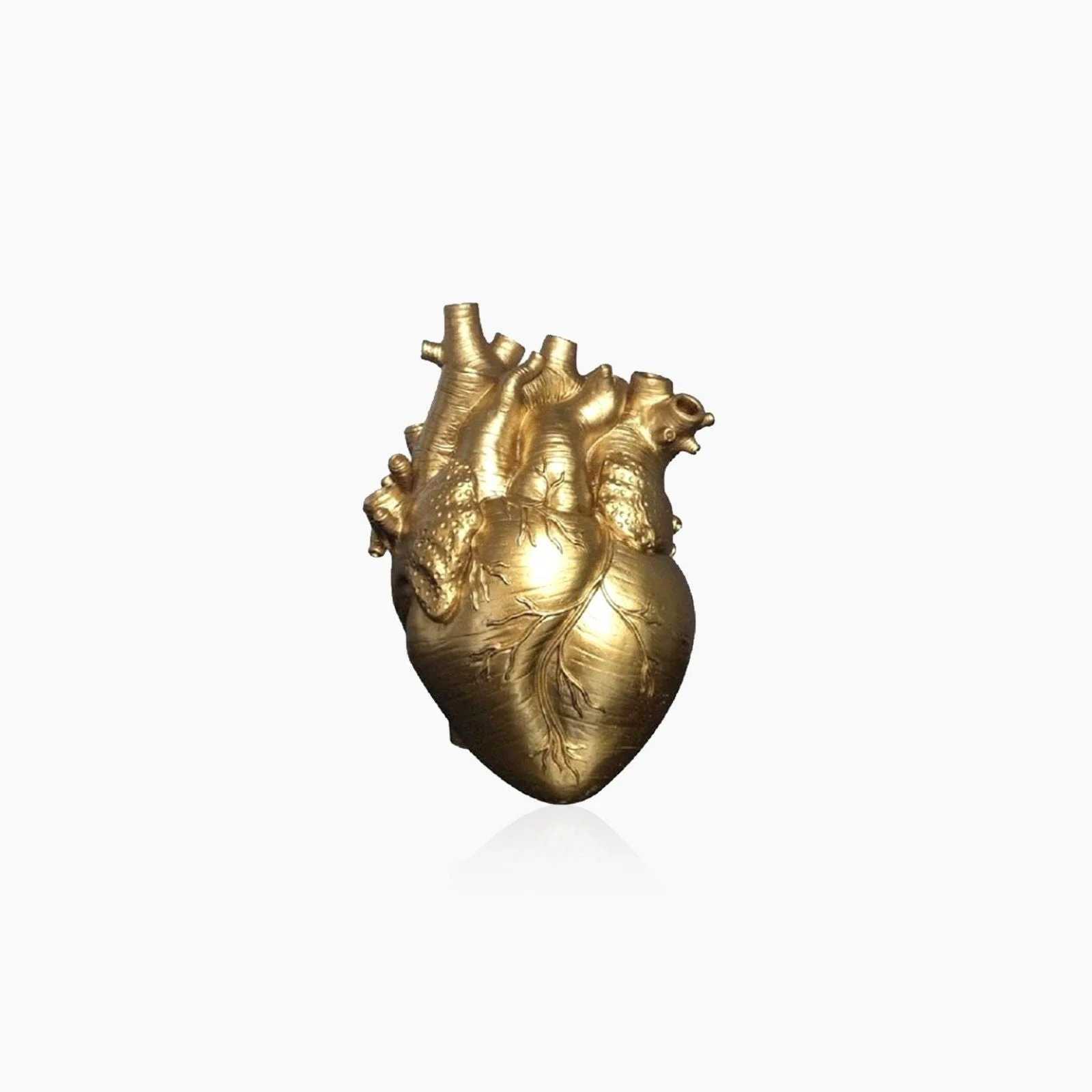 Heart Dry Plant Art Vase -