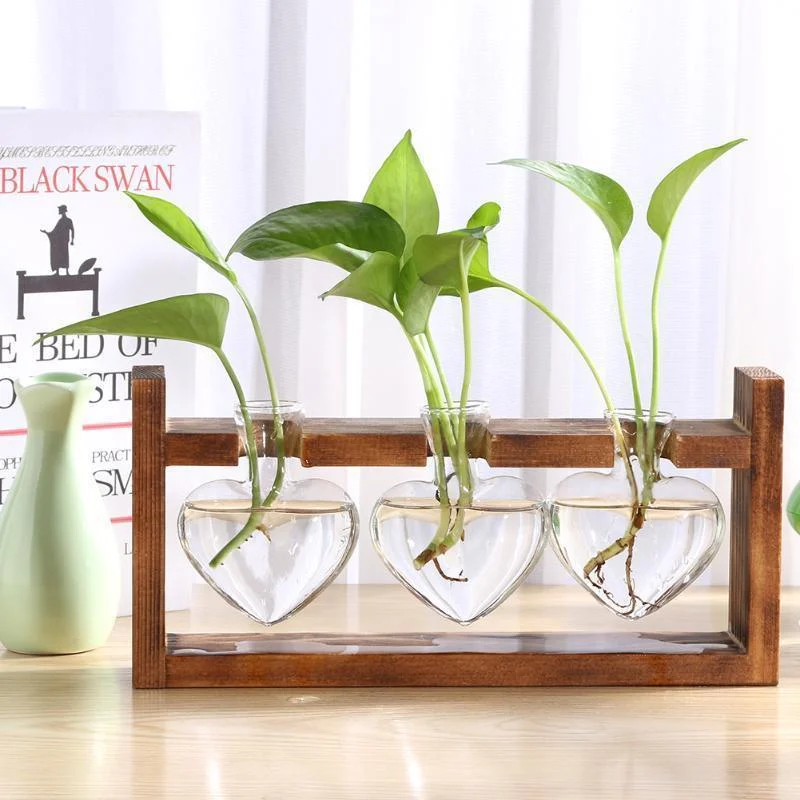 Heart Glass & Wood Propagation Vase -