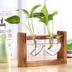 Heart_Glass_Wood_Propagation_Vase_-_-4202194 Heart Glass Wood Propagation Vase