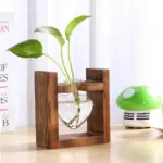 Heart_Glass_Wood_Propagation_Vase_-_-4202201 Heart Glass Wood Propagation Vase