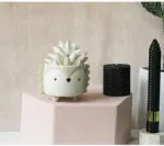 Hedgehog-Bunny_Pot_-_-4202605 Hedgehog Bunny Pot