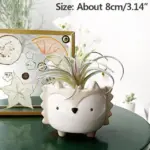 Hedgehog-Bunny_Pot_-_-4202620 Hedgehog Bunny Pot