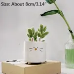 Hedgehog-Bunny_Pot_-_-4202625 Hedgehog Bunny Pot
