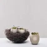 Hikarir Vase