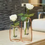 Hollow Propagation Stand