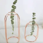 Hollow Propagation Stand