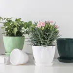 Home Garden Plant Pot With Tray tag1