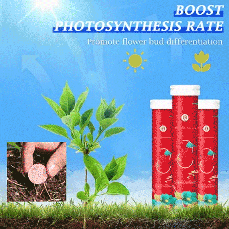 Home Gardening Universal Slow-Release Tablet Organic Fertilizer -  - #tag1#