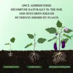 Home Gardening Universal Slow Release Tablet Organic Fertilizer tag1