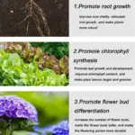 Home Gardening Universal Slow Release Tablet Organic Fertilizer tag1