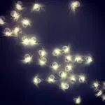 Homeko Clear Glass Wall Lamp