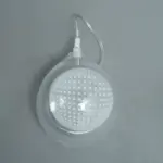 Homeko Clear Glass Wall Lamp