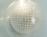 Homeko Clear Glass Wall Lamp