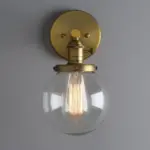 Homeko Glass Globe Wall Sconce