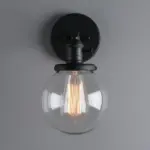 Homeko Glass Globe Wall Sconce