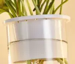Homeko LED Planter Wall Lamp