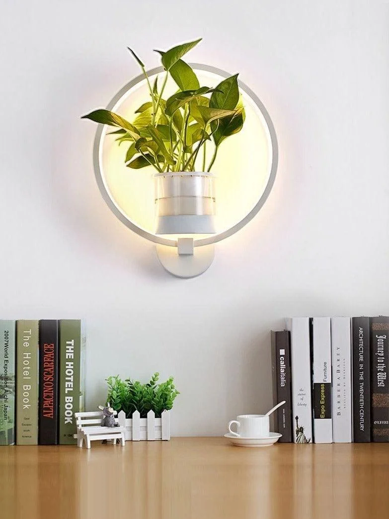 Homeko - LED Planter Wall Lamp -