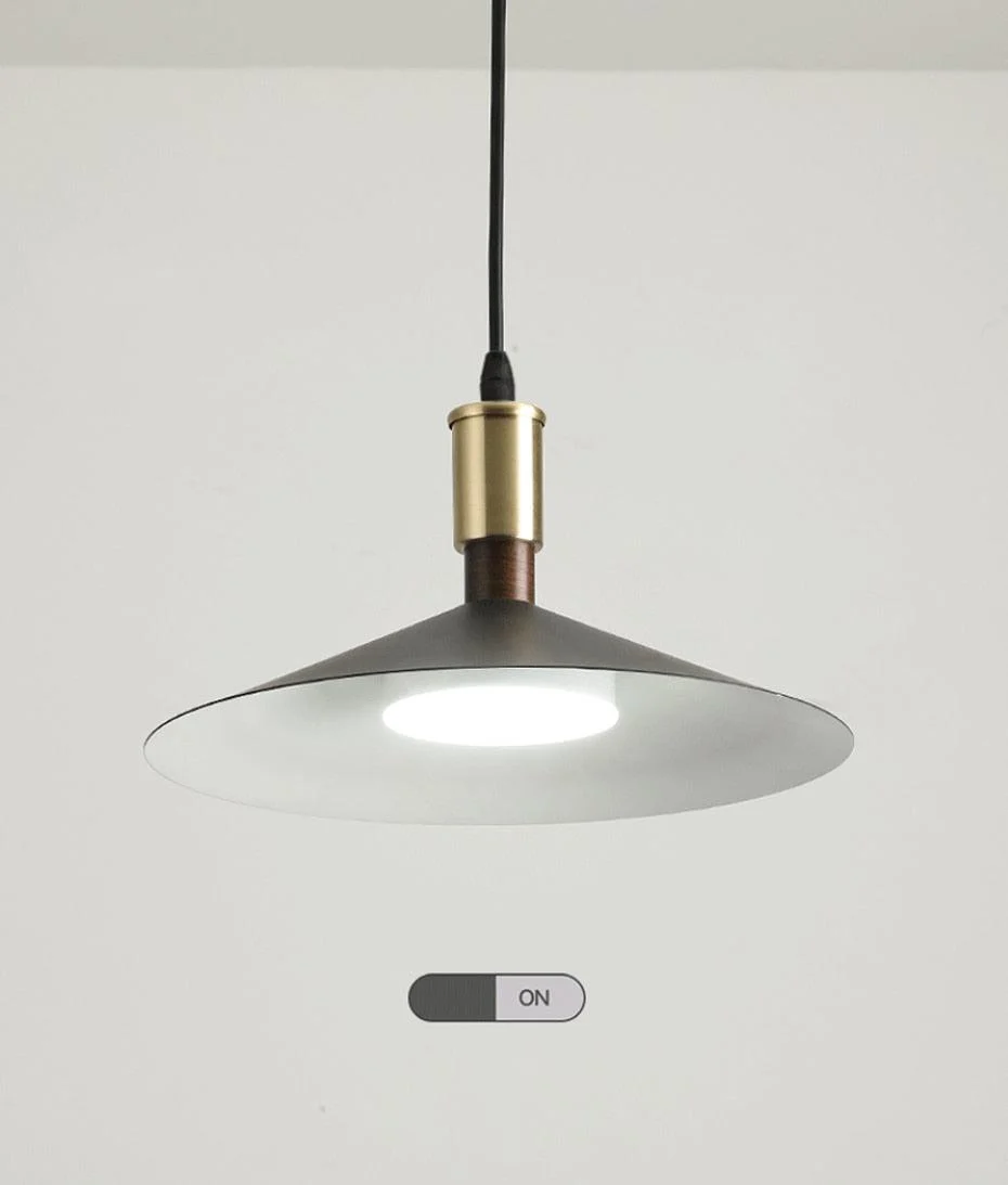 Homeko - Modern LED Pendant Light -