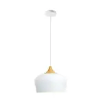 Homeko Nordic Minimalist Pendant Light