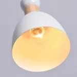 Homeko Nordic Pendant Lights