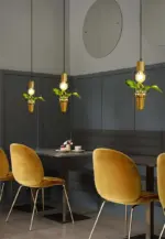 Homeko Pendant Planter Light