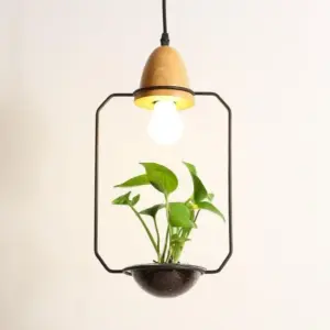 Homeko - Planter Pendant Lights - 