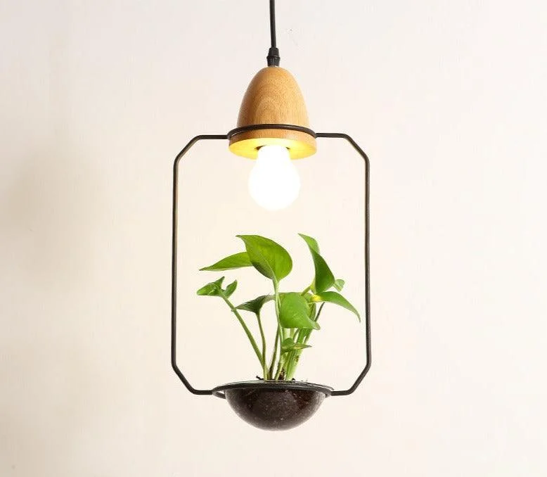 Homeko - Planter Pendant Lights -