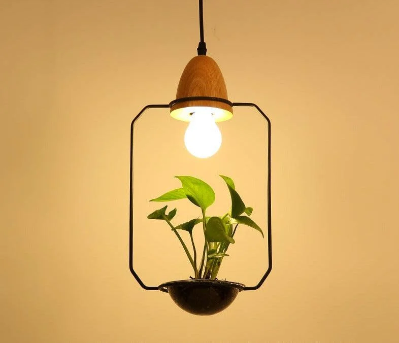 Homeko - Planter Pendant Lights -