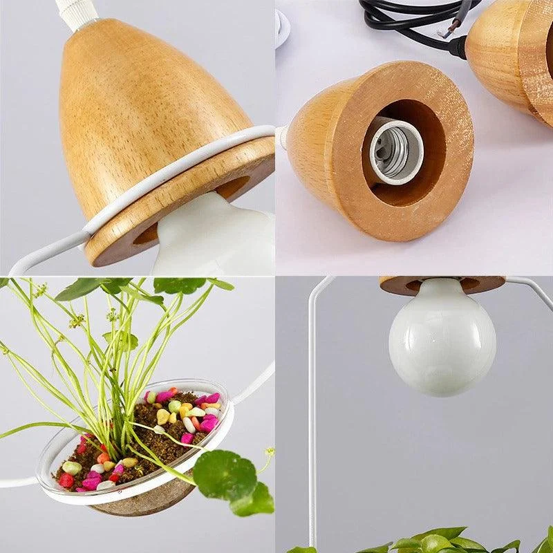 Homeko - Planter Pendant Lights -