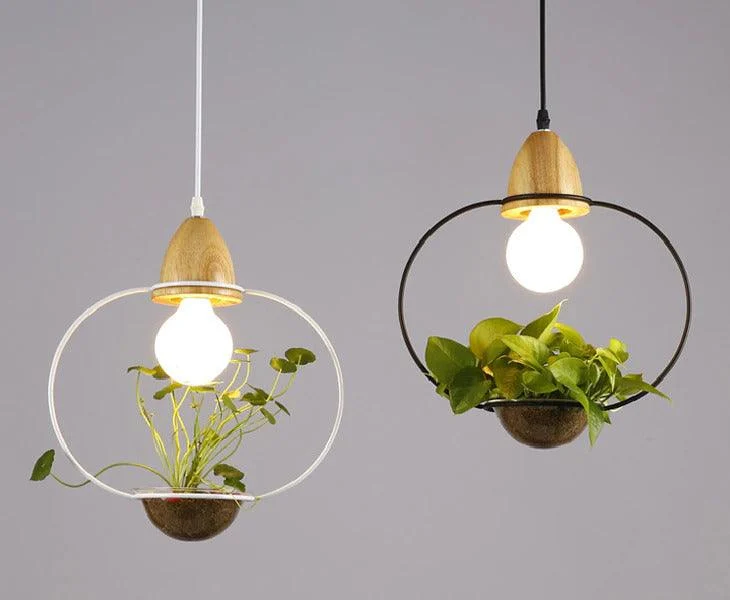 Homeko - Planter Pendant Lights -