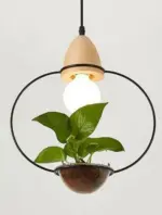 Homeko Planter Pendant Lights