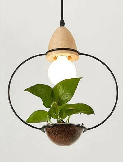 Homeko - Planter Pendant Lights -